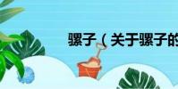 騾子(關于騾子的簡介)