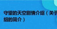 守望的天空劇情介紹(關于守望的天空劇情介紹的簡介)