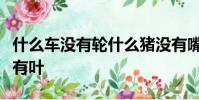 什么車沒有輪什么豬沒有嘴猜六個字什么花沒有葉