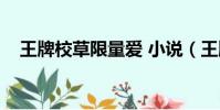 王牌校草限量愛 小說(王牌校草無限愛)