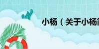 小楊(關于小楊簡介)