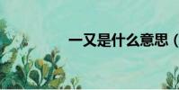 一又是什么意思(一又)