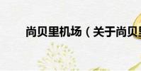 尚貝里機場(關于尚貝里機場簡介)