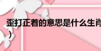 歪打正著的意思是什么生肖(歪打正著的意思)