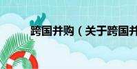 跨國并購(關于跨國并購的簡介)