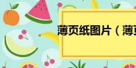 薄頁紙圖片(薄頁紙)