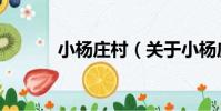 小楊莊村(關于小楊莊村簡介)