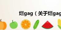 爛gag(關于爛gag的簡介)