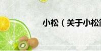 小松(關于小松簡介)