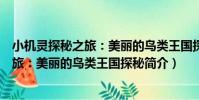 小機靈探秘之旅:美麗的鳥類王國探秘(關于小機靈探秘之旅:美麗的鳥類王國探秘簡介)