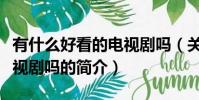 有什么好看的電視劇嗎(關于有什么好看的電視劇嗎的簡介)