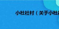 小杜社村(關于小杜社村簡介)