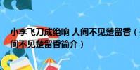 小李飛刀成絕響 人間不見楚留香(關于小李飛刀成絕響 人間不見楚留香簡介)
