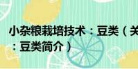 小雜糧栽培技術:豆類(關于小雜糧栽培技術:豆類簡介)