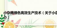 小雜糧綠色高效生產技術(關于小雜糧綠色高效生產技術簡介)
