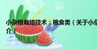 小雜糧栽培技術:糧食類(關于小雜糧栽培技術:糧食類簡介)