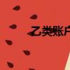 乙類賬戶和丙類賬戶（丙類賬戶）