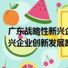 廣東戰略性新興企業創新發展路徑研究（關于廣東戰略性新興企業創新發展路徑研究介紹）