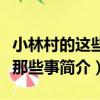 小林村的這些人那些事（關于小林村的這些人那些事簡介）