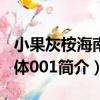 小果灰桉海南個體001（關于小果灰桉海南個體001簡介）