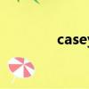 casey（關于casey的簡介）