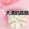 大漠的孤煙是指什么動物（大漠的孤煙）