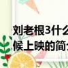 劉老根3什么時候上映（關于劉老根3什么時候上映的簡介）