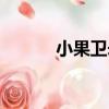 小果衛矛（關于小果衛矛簡介）