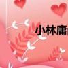 小林庸尚（關于小林庸尚簡介）
