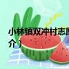 小林鎮雙沖村志愿服務隊（關于小林鎮雙沖村志愿服務隊簡介）