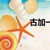古加一筆變成什么字（古加）