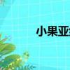 小果亞組（關于小果亞組簡介）