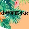 小林家的小女仆（關于小林家的小女仆簡介）