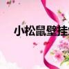 小松鼠壁掛爐（關于小松鼠壁掛爐簡介）