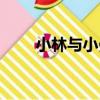 小林與小曼（關于小林與小曼簡介）