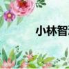 小林智浩（關于小林智浩簡介）