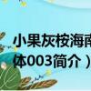 小果灰桉海南個體003（關于小果灰桉海南個體003簡介）