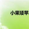 小果矮蘋果（關于小果矮蘋果簡介）