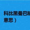 科比黑曼巴精神是什么意思（曼巴精神是什么意思）