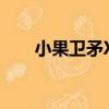 小果衛矛XF（關于小果衛矛XF簡介）
