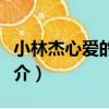 小林杰心愛的姑娘（關于小林杰心愛的姑娘簡介）