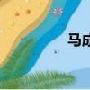 馬成（關于馬成的簡介）