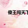 傻王闖天下（關于傻王闖天下的簡介）
