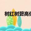 樹紅樹碧高低影,煙淡煙濃遠近秋寫的哪里