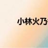 小林火乃香（關于小林火乃香簡介）