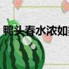 鴨頭春水濃如染是什么意思（鴨頭春水濃如）