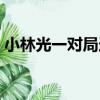 小林光一對局選（關于小林光一對局選簡介）