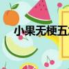 小果無梗五加（關于小果無梗五加簡介）