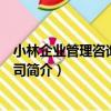 小林企業管理咨詢有限公司（關于小林企業管理咨詢有限公司簡介）