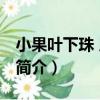 小果葉下珠 原變種（關于小果葉下珠 原變種簡介）